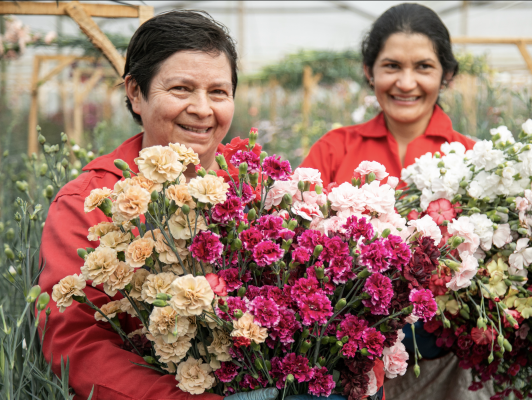 La Floricultura es 100 % formal y debe seguir siéndolo: 4 pautas para evitar retrocesos en los aportes sociales de su empresa.